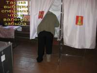 «Так на выборы спешила, что и валенок забыла», автор Любеева Анастасия