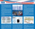 Избирательная система современной России.